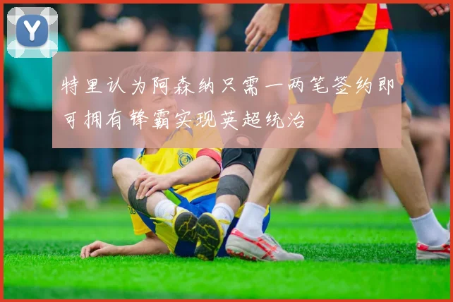 特里认为阿森纳只需一两笔签约即可拥有锋霸实现英超统治